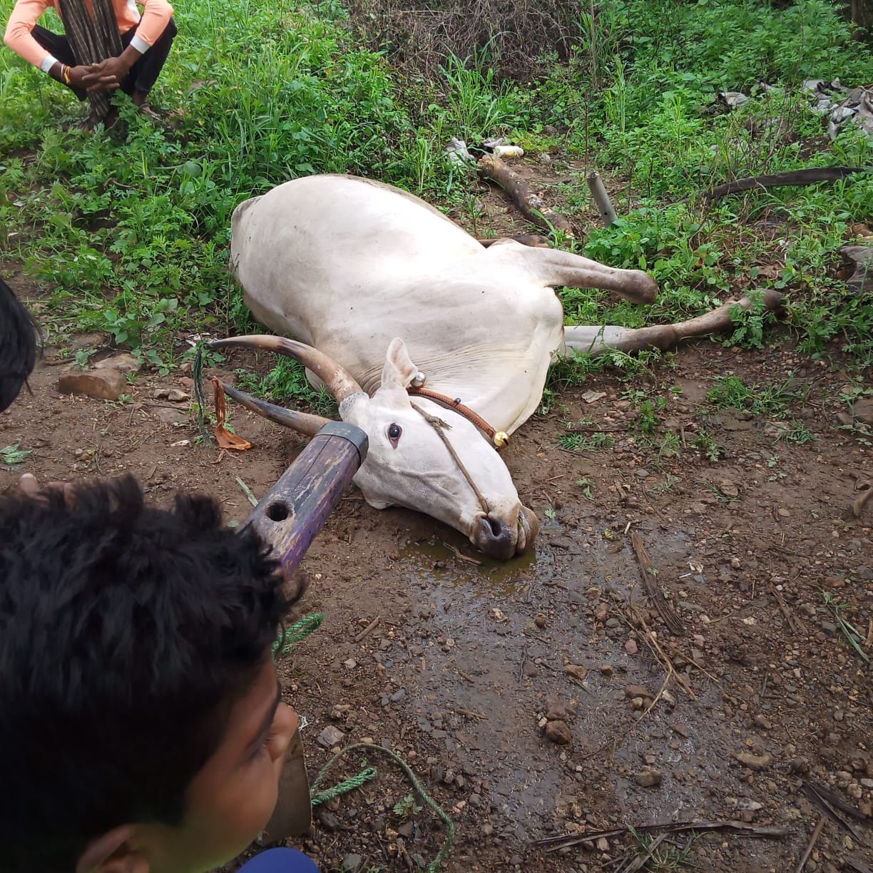 IMG 20210914 WA0002