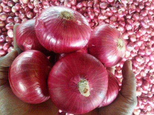 onion