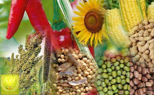 crops