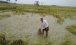 karnataka flood