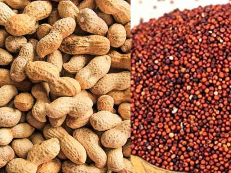 ragi shanga