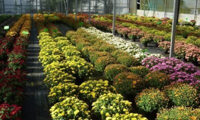 Horticulture Training