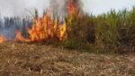 kabbu fire
