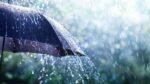 rain 22