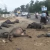 shivamogga car accident