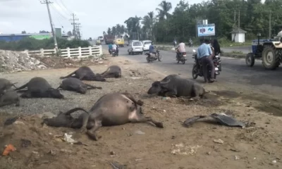 shivamogga car accident