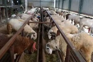 n45010549453a00d1ab48e119a10da3a1edf6abda9bf7de039ec7734c25edfb4e537393dd4