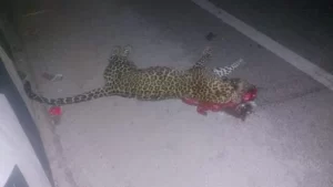 IMG 20230208 WA0015 696x391 1