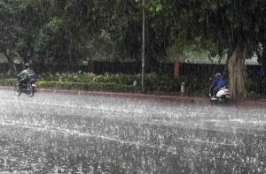 rain 233