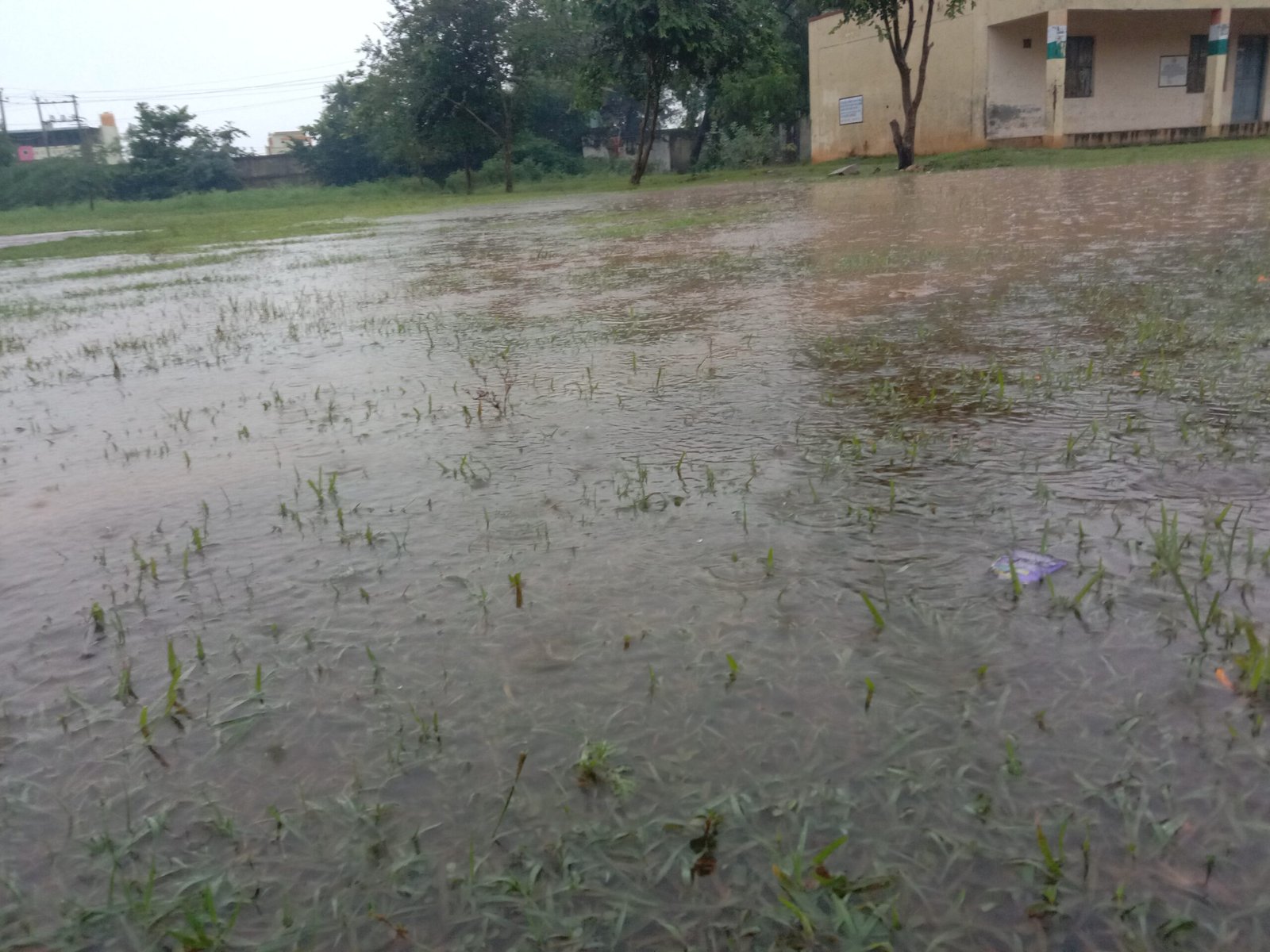 IMG 20220830 071528 scaled