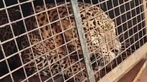 n5355182121694095041804f1f484f132d8b53e3a493d5c4f3b805ef369c984eb46df363f8362045bbdd612