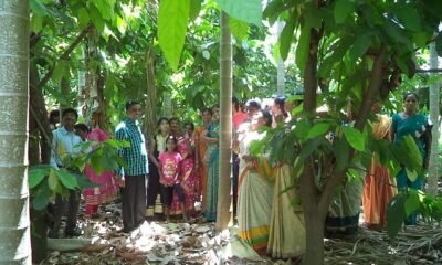 images 34