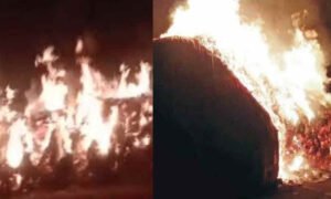 IMG 20240212 074034