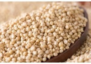 images 2024 03 30T122622.781