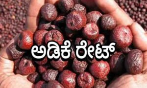arecanut rate davangere 1