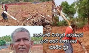 davangere acrecanut farmer