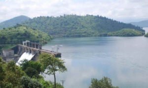 bhadara dam