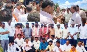 renukacharay ptrotest