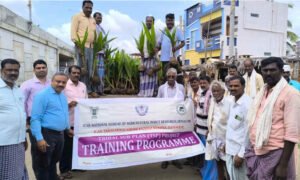 davangere kvk