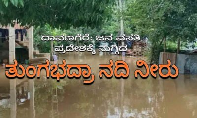 tunga bhdara river davangere