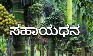 horticulture subsidy