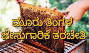 Beekeeping Training