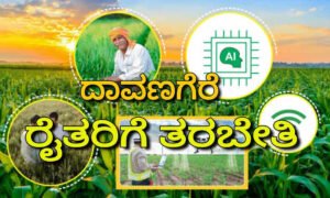 davangere farmer