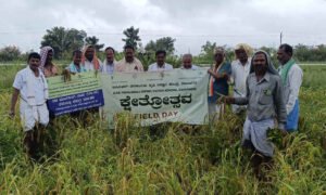 davangere kvk 1