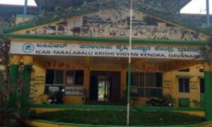 taralabalu kvk davangere 1