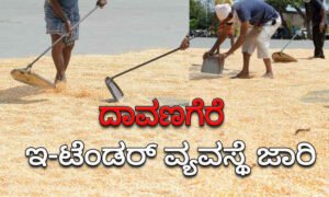 davangere apmc 2