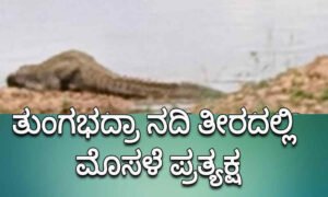 davangere tungabhadra river