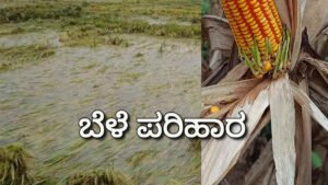 farmer subsidy 1