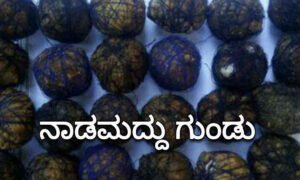 davangere forest