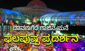 davangere glass house flower show