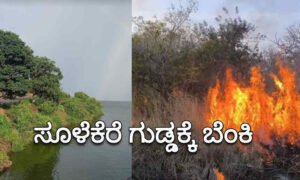 sulekere Channagiri 1