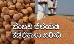 ಕಡಲೆ ಕಾಳು