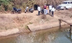 bhadra dam canal