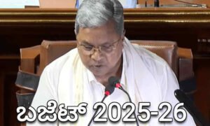 budget 2025 2