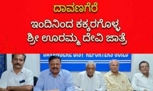 dvg news 4