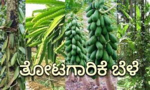 horticulture Corp