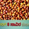 dal Price