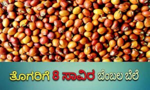 dal Price