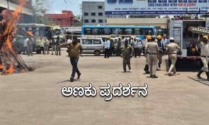 dvg news 7