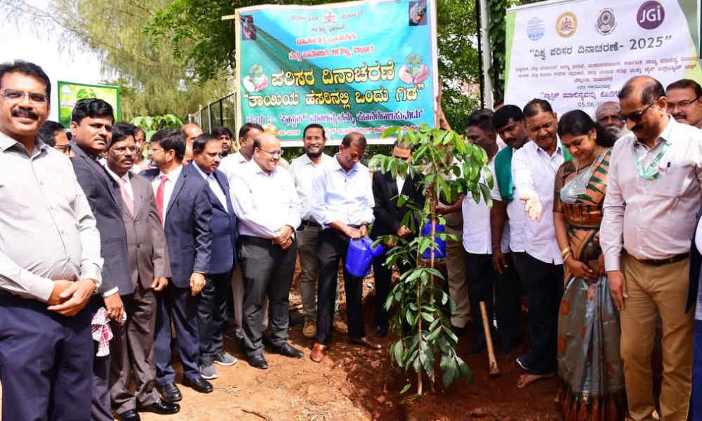 davangere environment day