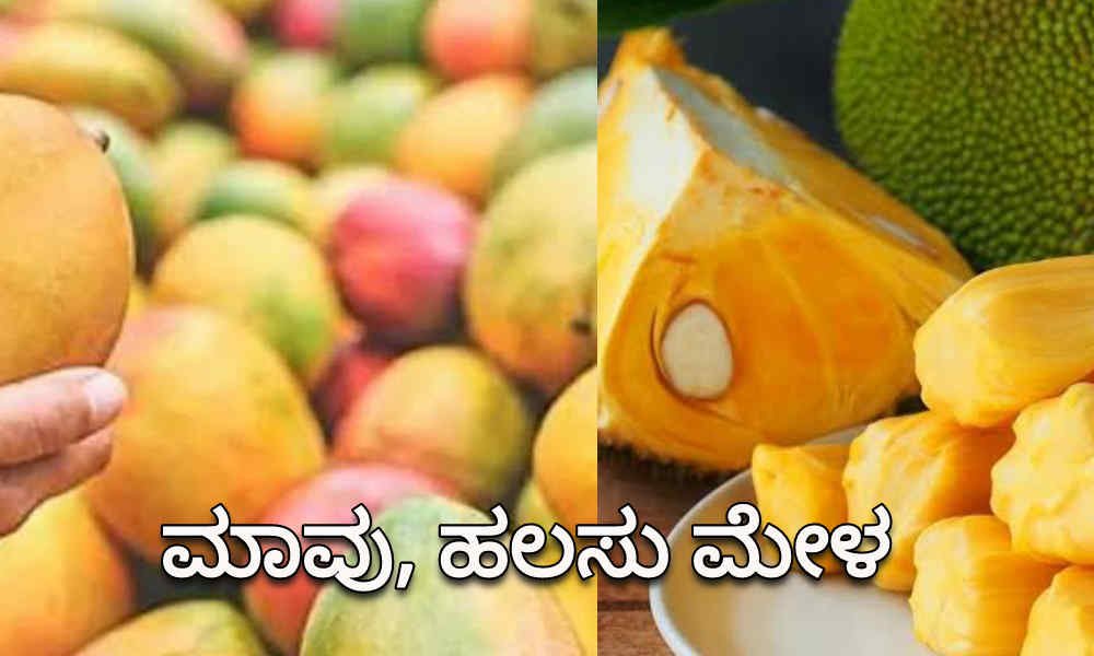 mango mela 1