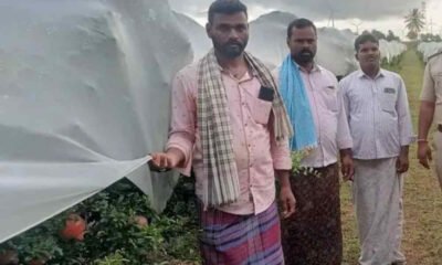 DAVANAGERE crime