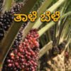 Palm crop