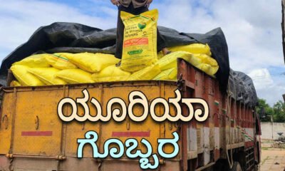 fertilizer