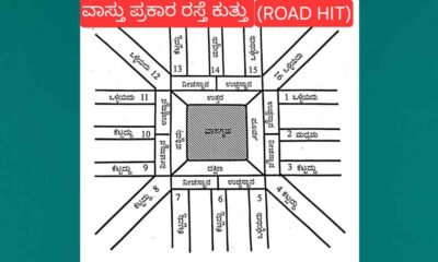 road hit