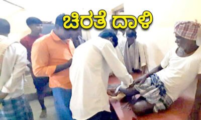 animal attacked 1
